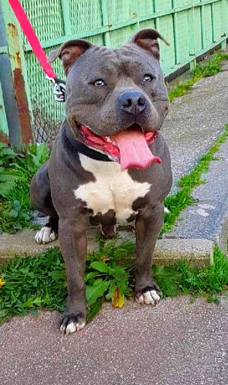 Publication : (Sans Affixe) Auteur : made in staff