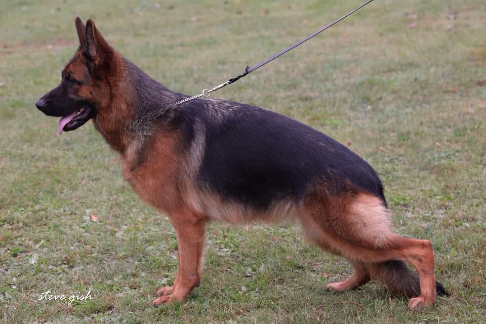 Publication : Du val de la houée 