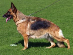 CH. Ginga vom kristallsee