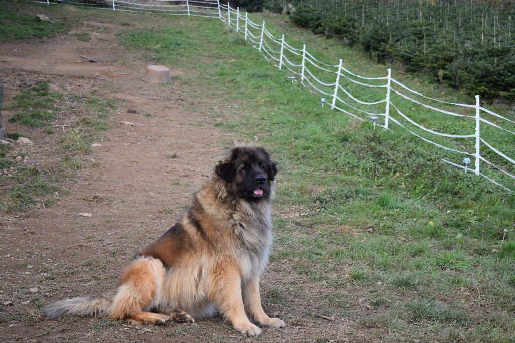 Publication : des petites créatures divines Auteur : Sandrine Othenin