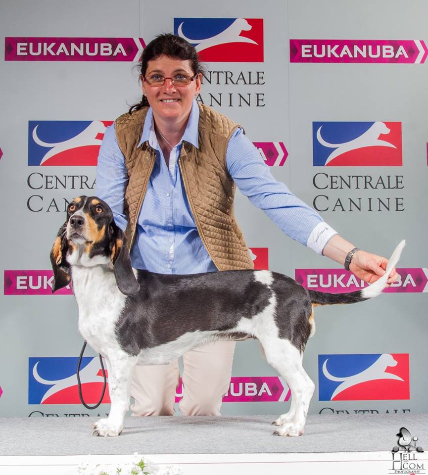 Publication : De La Clé Des Coeurs Auteur : SCC