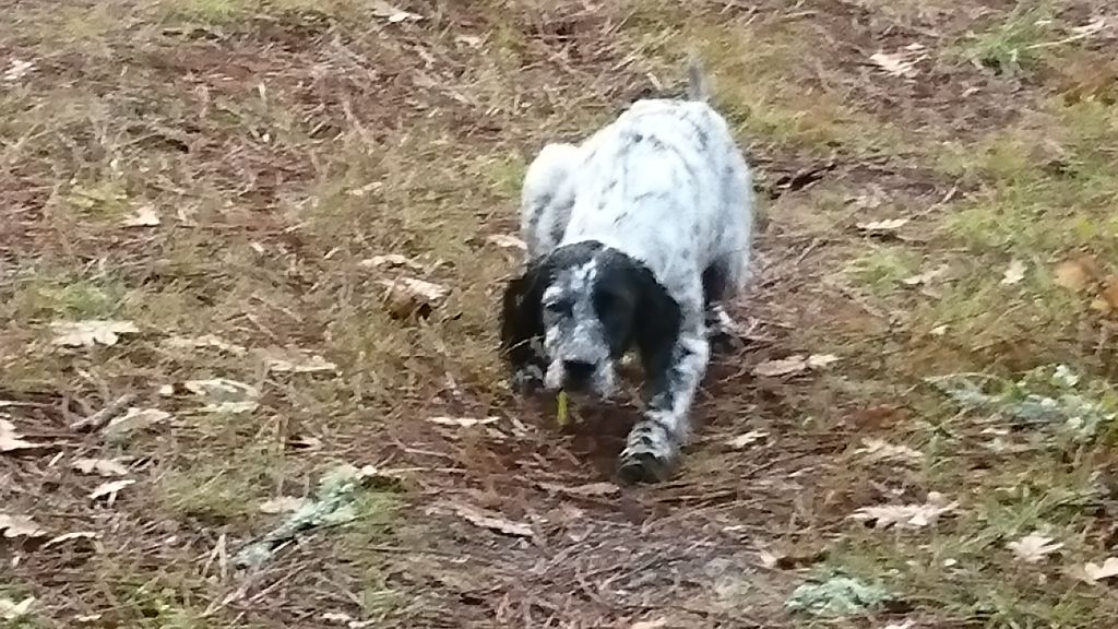 Lady Des Fourberies De Twister