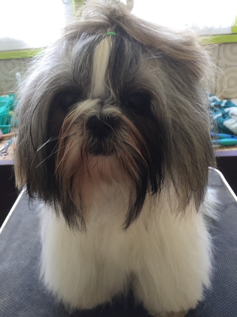 Maybeline Du Jardin Des Crapules