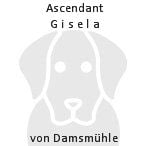 Odina vom hoherodskopf