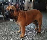 image de Max... il est libre