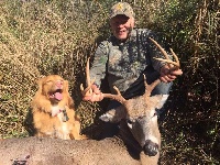 Étalon Retriever de la Nouvelle-Ecosse - CH. roaneden Kaleidscop tuffntendr