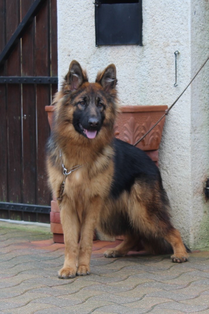 Publication : de la Roche Clotilde 