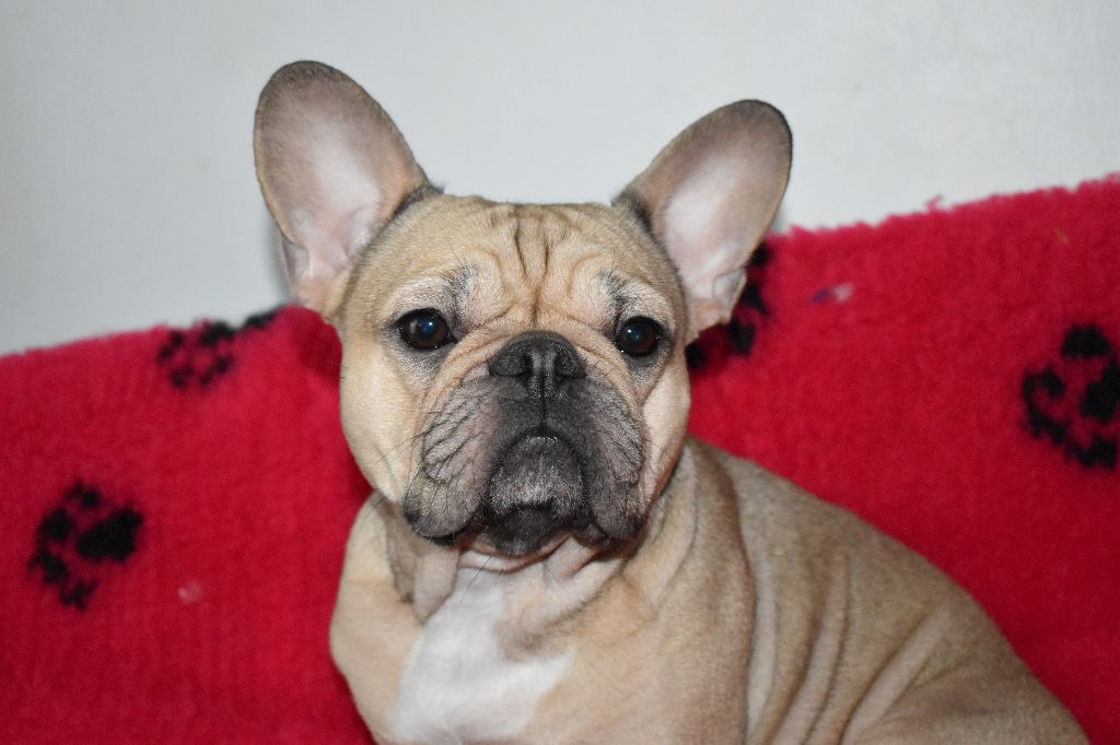 Joyce in love (Sans Affixe)