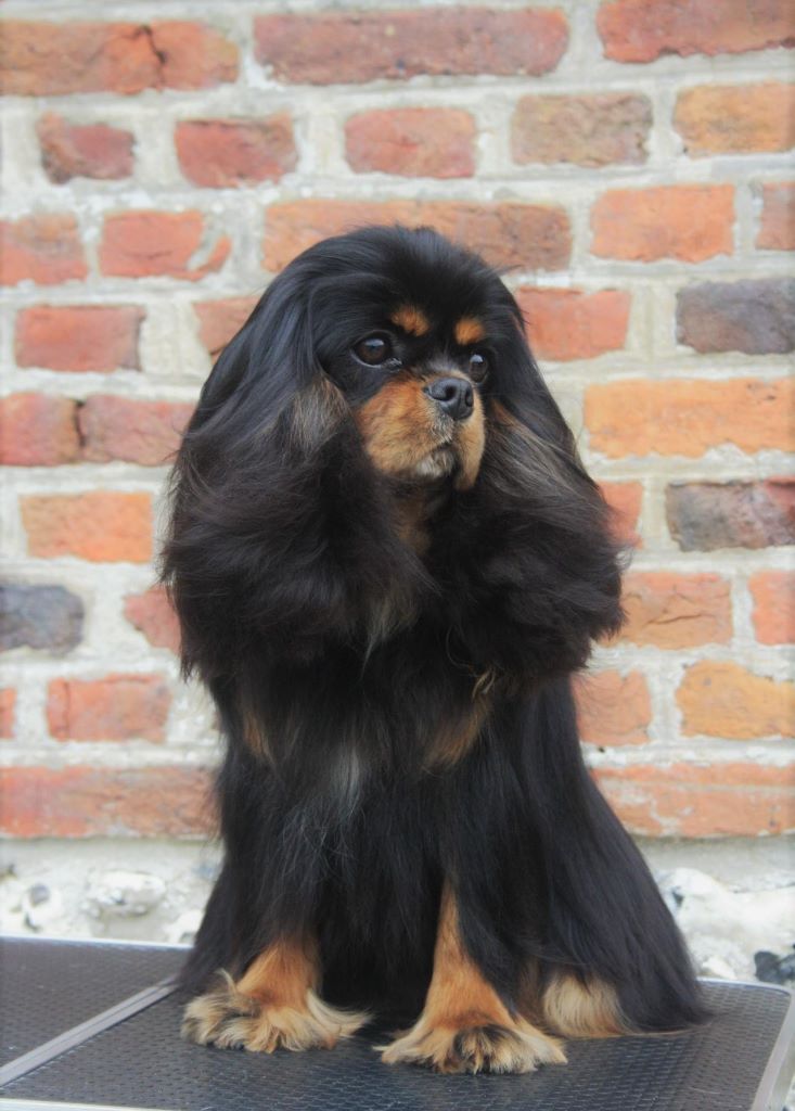  Auteur : laurence Bernard