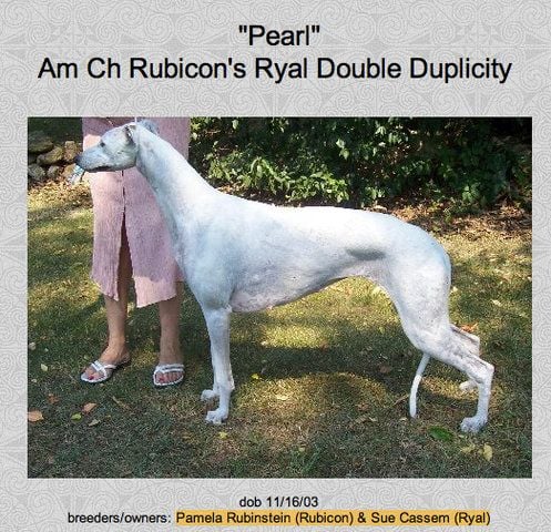 rubicon's Ryal double duplicity