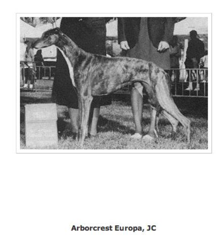 CH. arborcrest Europa