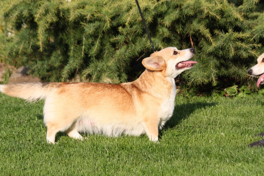 Publication : De Jaykay Land 