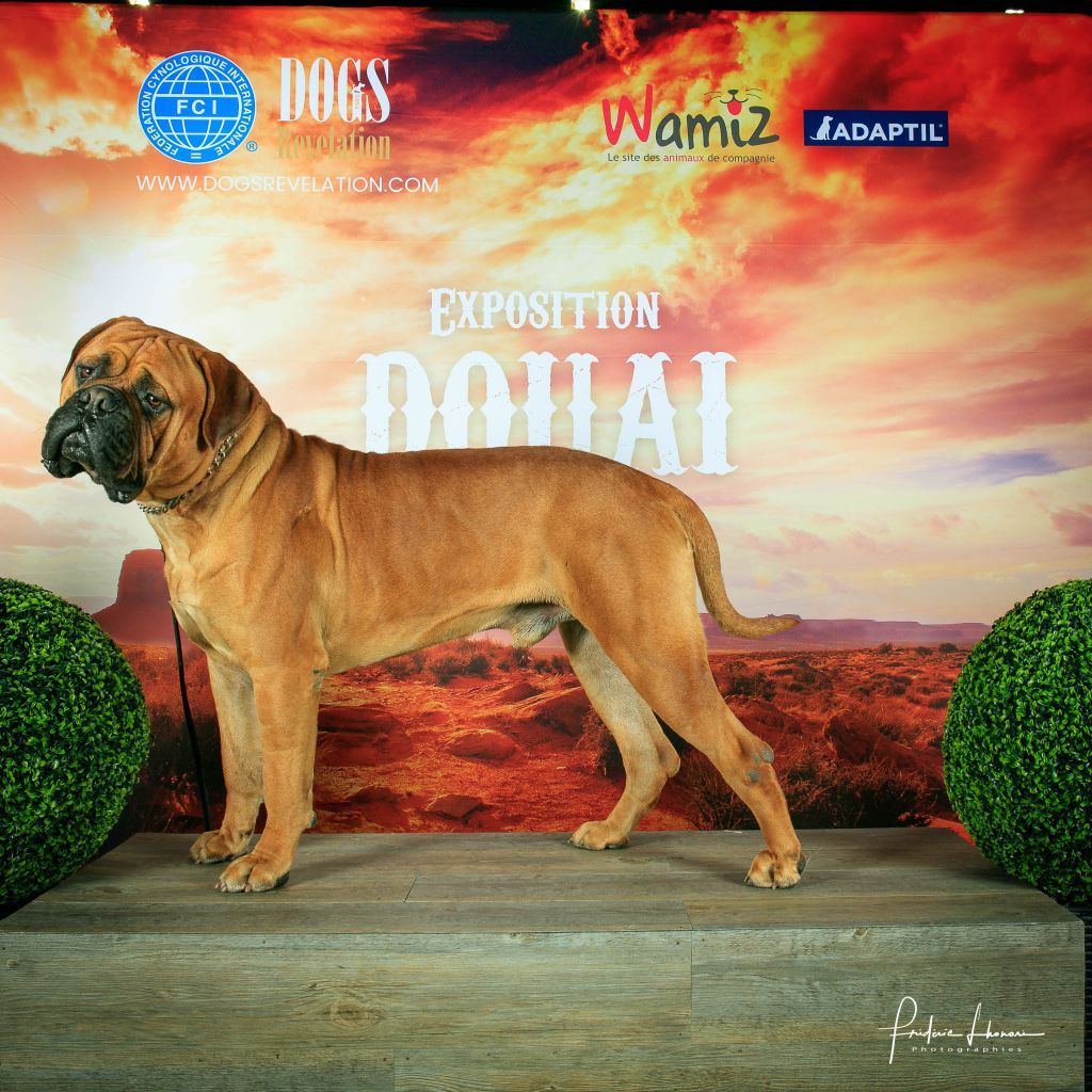 Publication : Du Domaine De Mc Queen