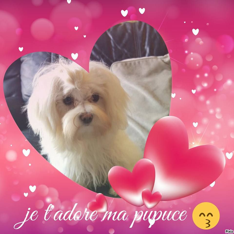 Publication : du domaine de Std Gladyce Auteur : MOI