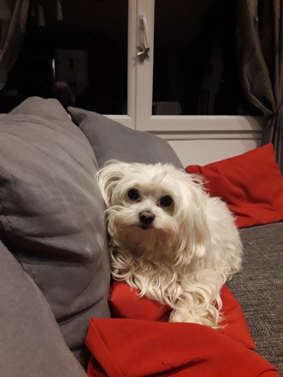 Fibie des Murmures de Séléné