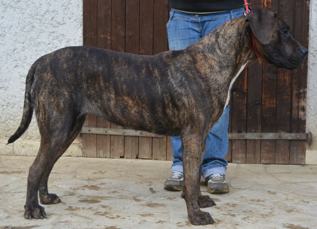 Publication : History Of Heart