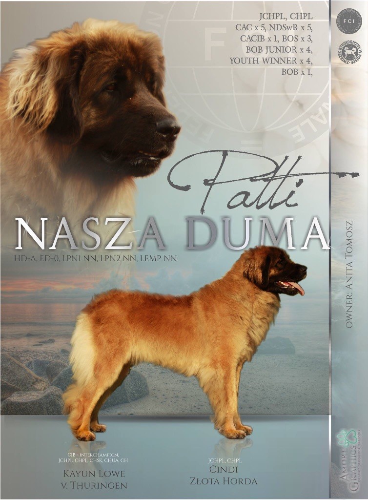 Patti nasza duma