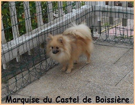 Publication : du Castel de Boissière 