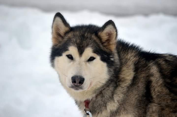 Publication : of Blue Track 