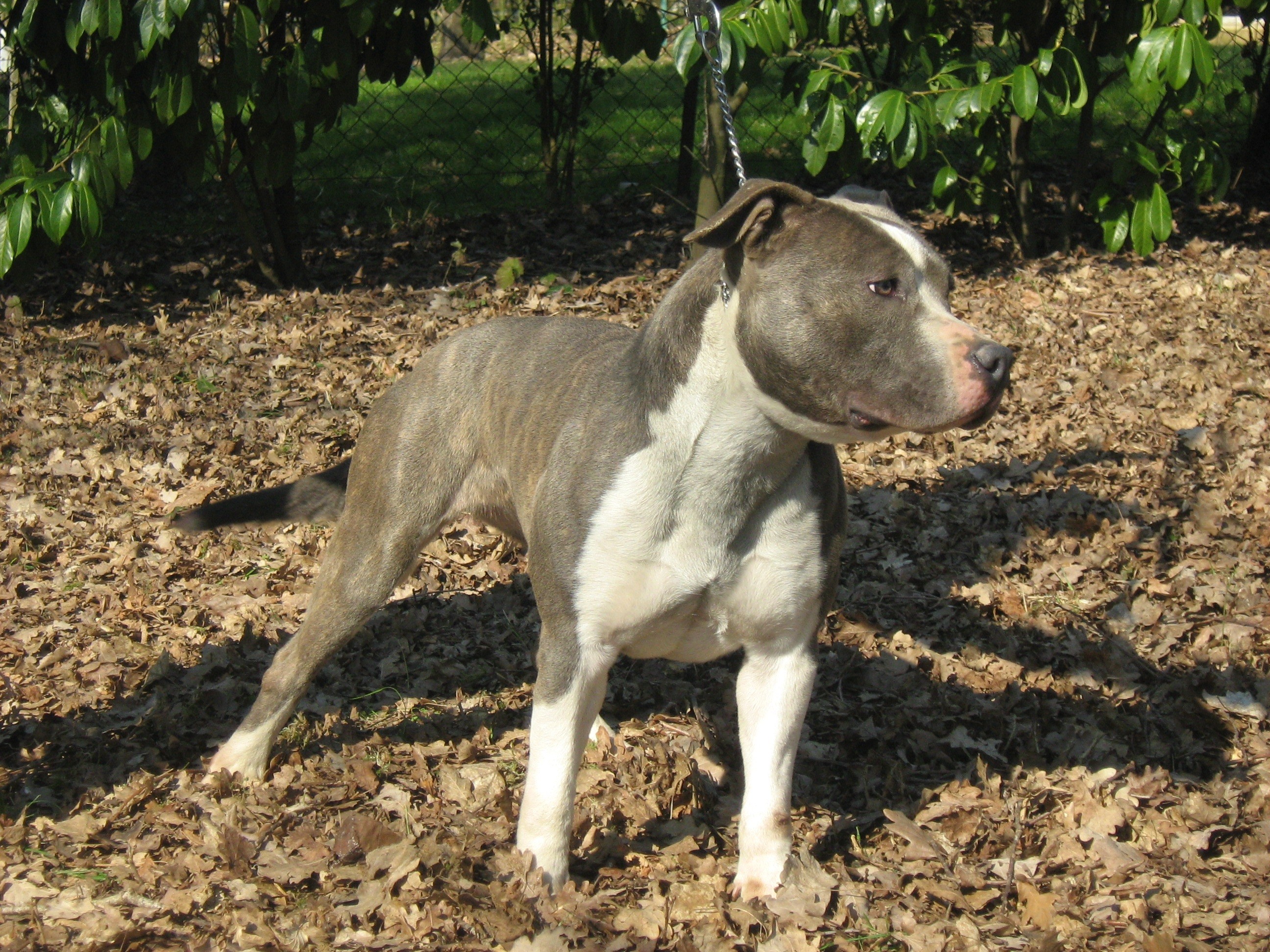 Publication : Gladiator's Empire Auteur : Kristina Velickovic