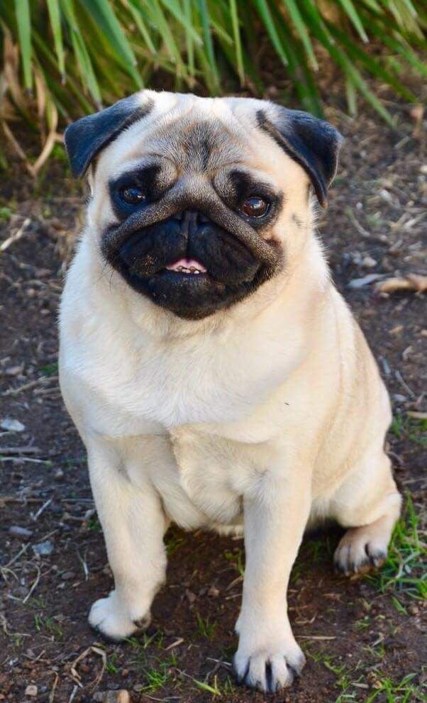 Publication : des Etoiles De Merida Auteur : Audrey