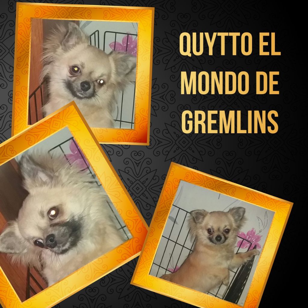 Quytto el mondo de gremlins