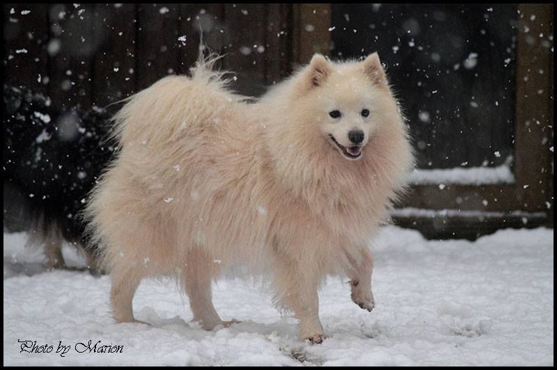 Publication : Du Jardin D'aouregan Auteur : Marion Vrignaud