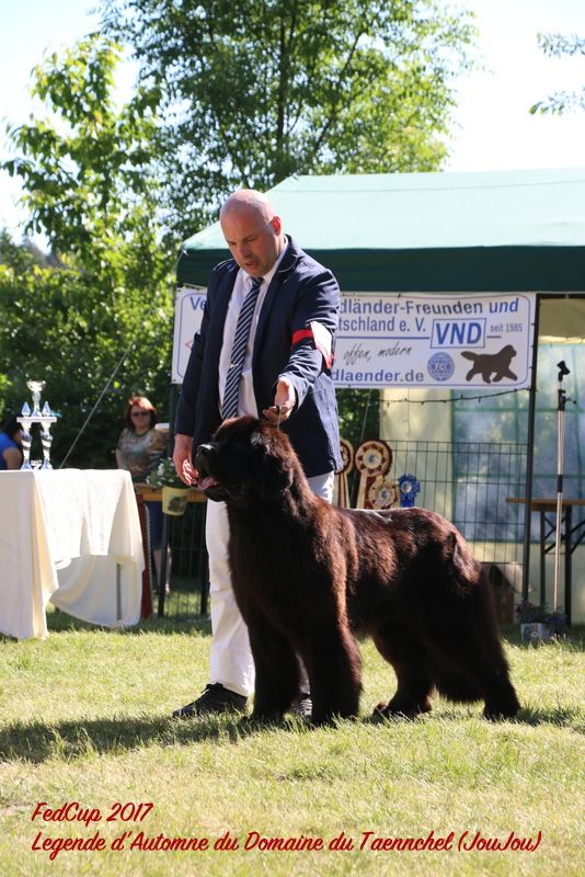 Publication : du domaine du Taennchel Auteur : OLIVIER MICHEL