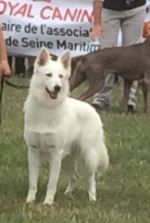 MaÏko Du domaine du haut quesnay