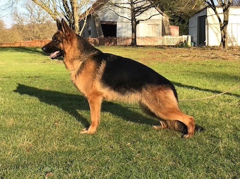 Publication : des Collines du Boischaut 