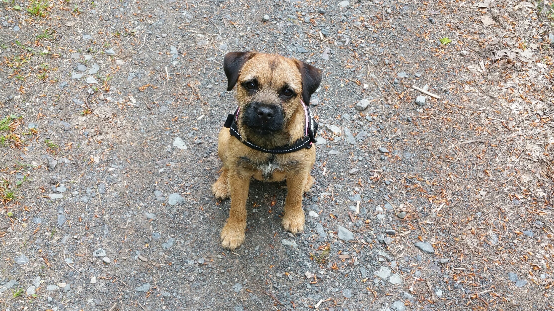 Publication : Glen mara 