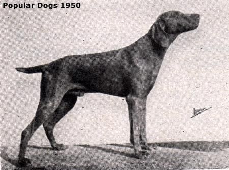 Acres adventure of mortgaged