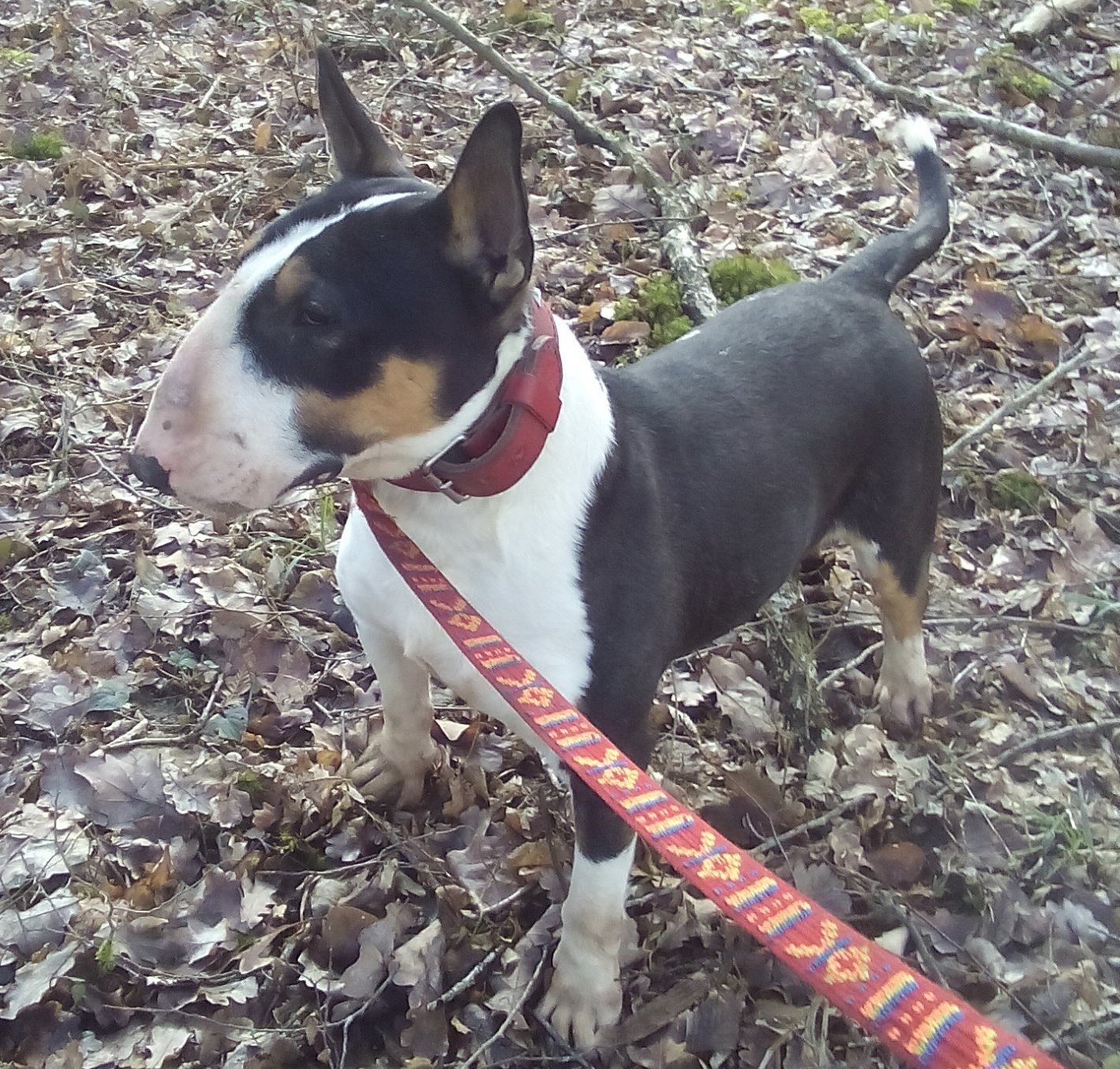 Auteur : of lovely demon