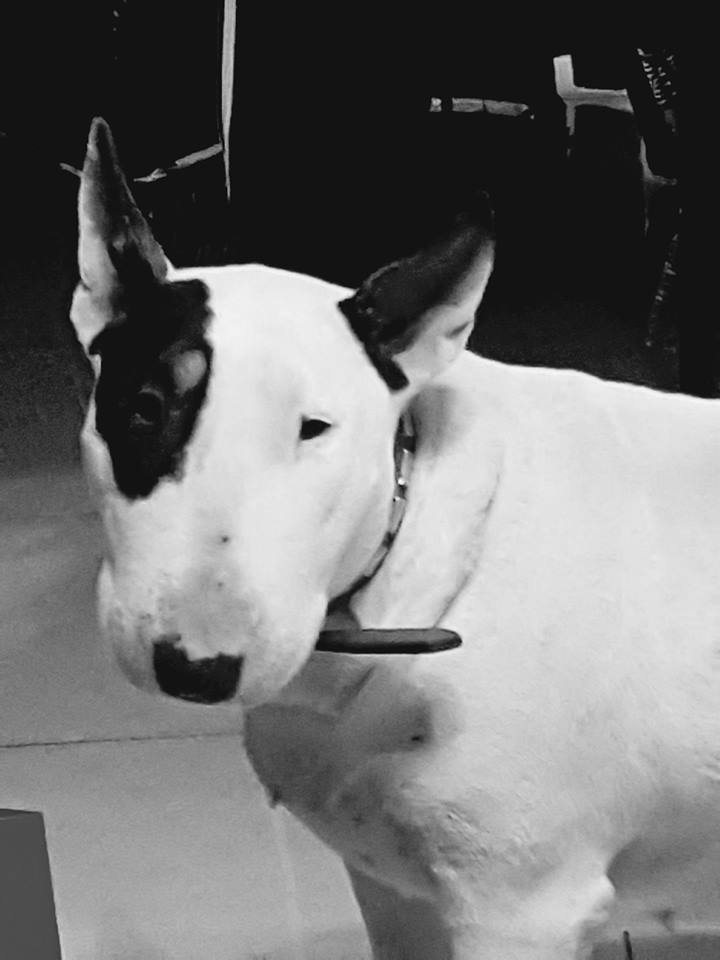 Publication : Head Full 