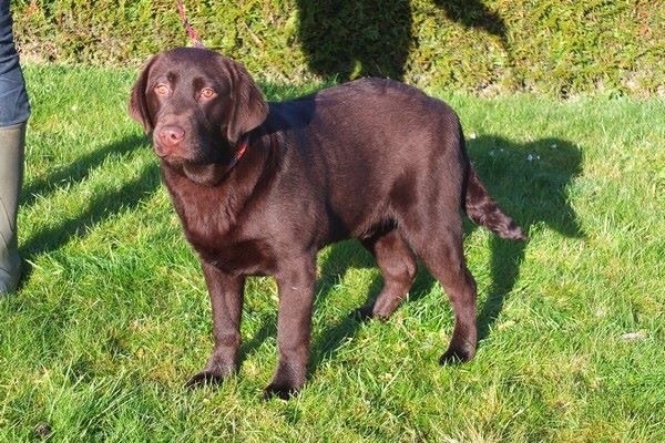 Publication : Du Domaine De Mafleurio