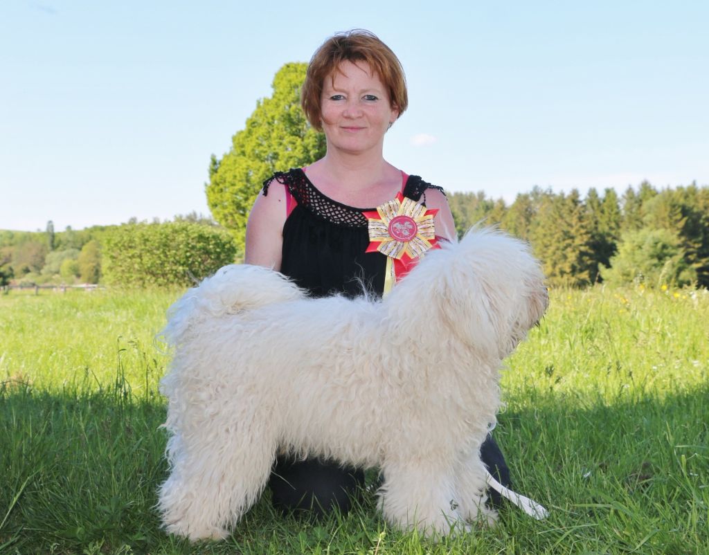 Publication : de la tour de milandre Auteur : TDM