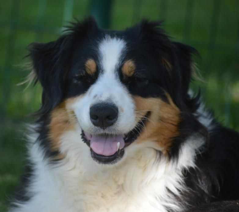 Auteur : Claudine Bayle