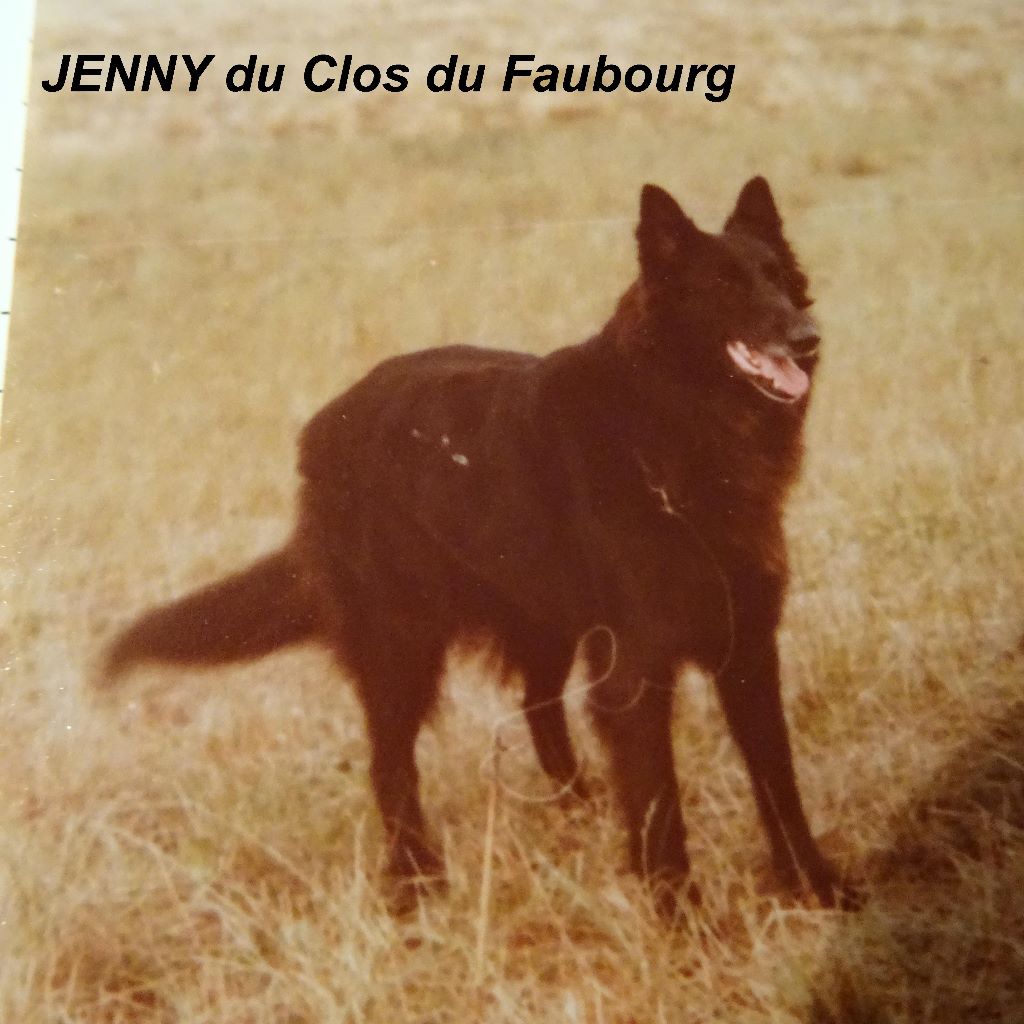 Jenny Du clos du faubourg