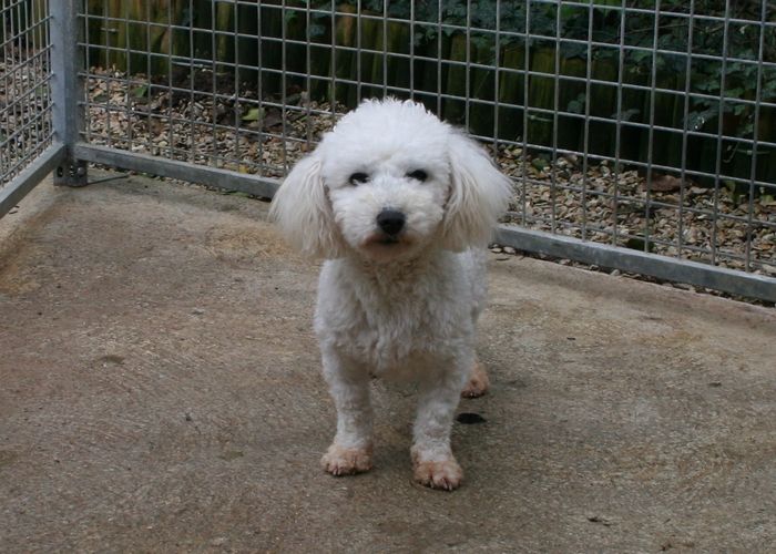 Publication : de la réserve deden