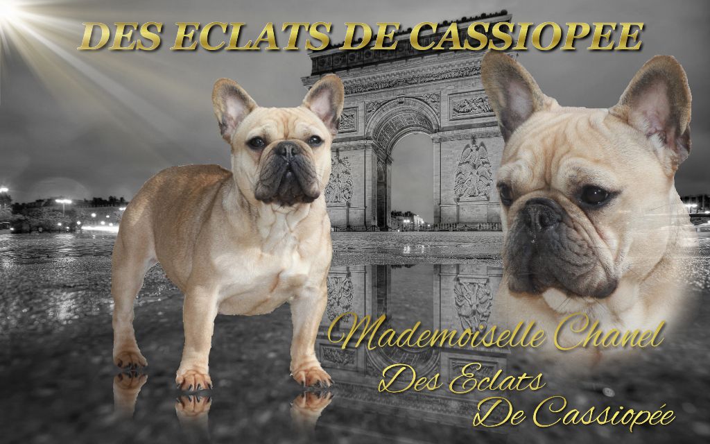 Mademoiselle chanel Des éclats De Cassiopée