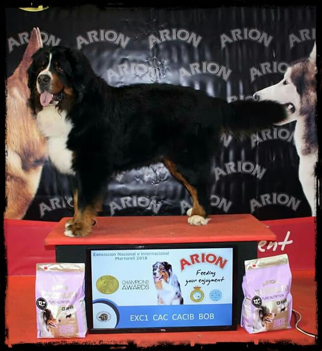 Publication : De Vosnabel Auteur : Carme Andreu