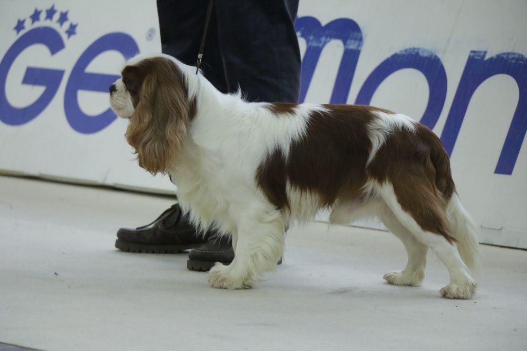 Publication : del varco