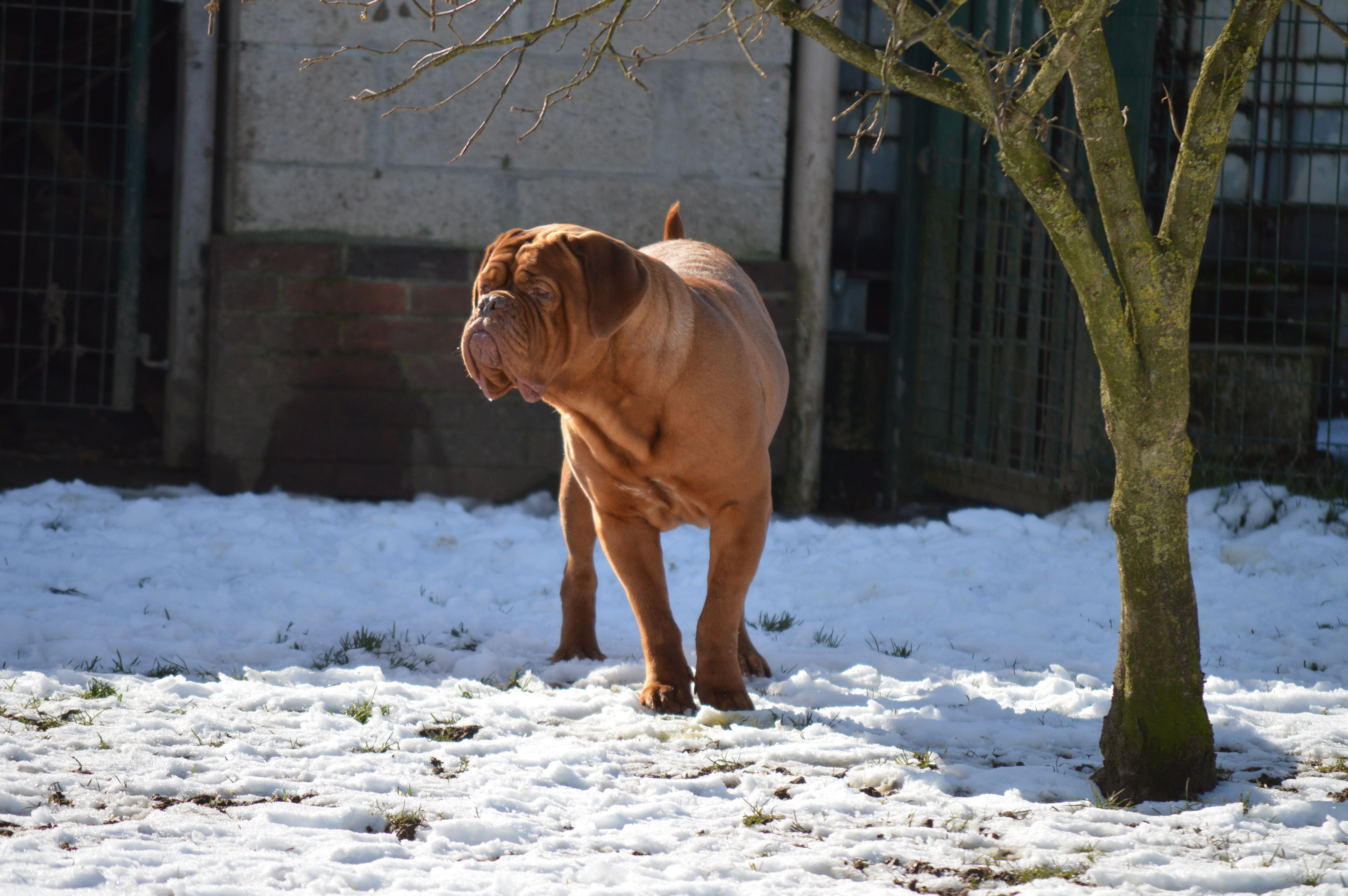 Publication : des Océans d'Orlane 
