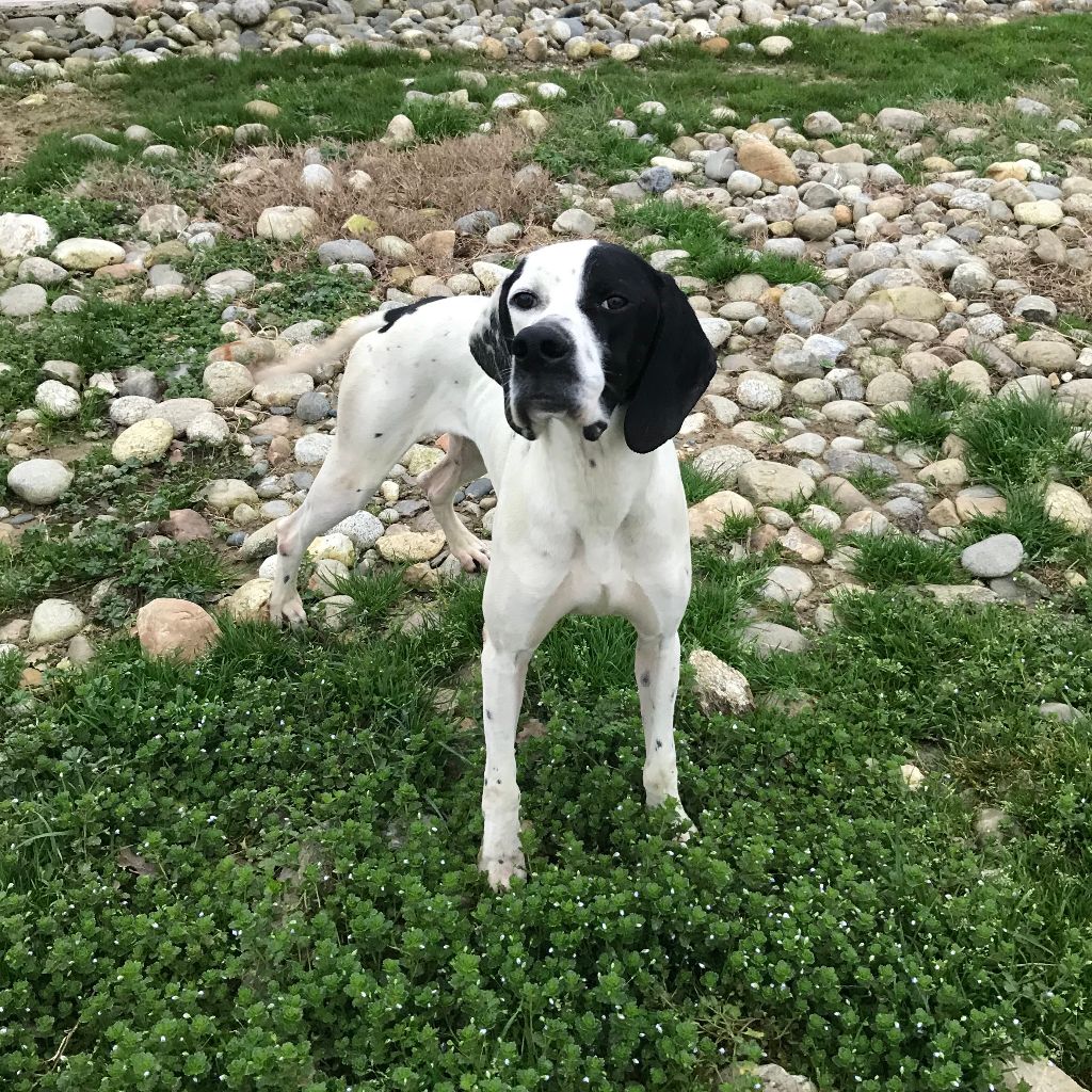 Publication : Les orangés d'Eole Auteur : Les Orangés d'Eole