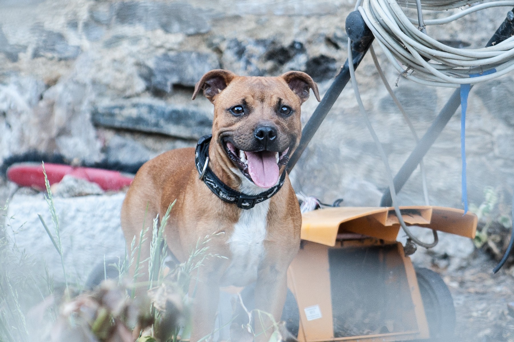 Publication : Winnerbull Auteur : est en Russie