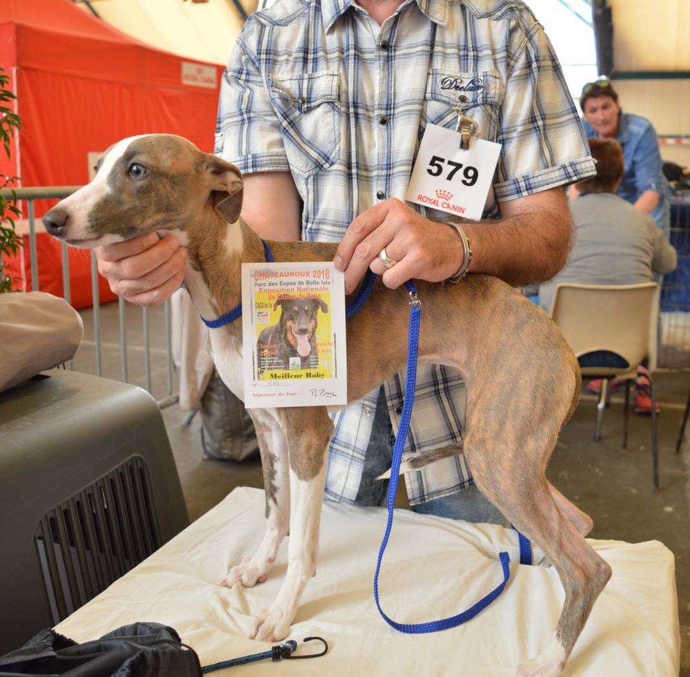 Publication : De La Bertinière Auteur : Grand maman