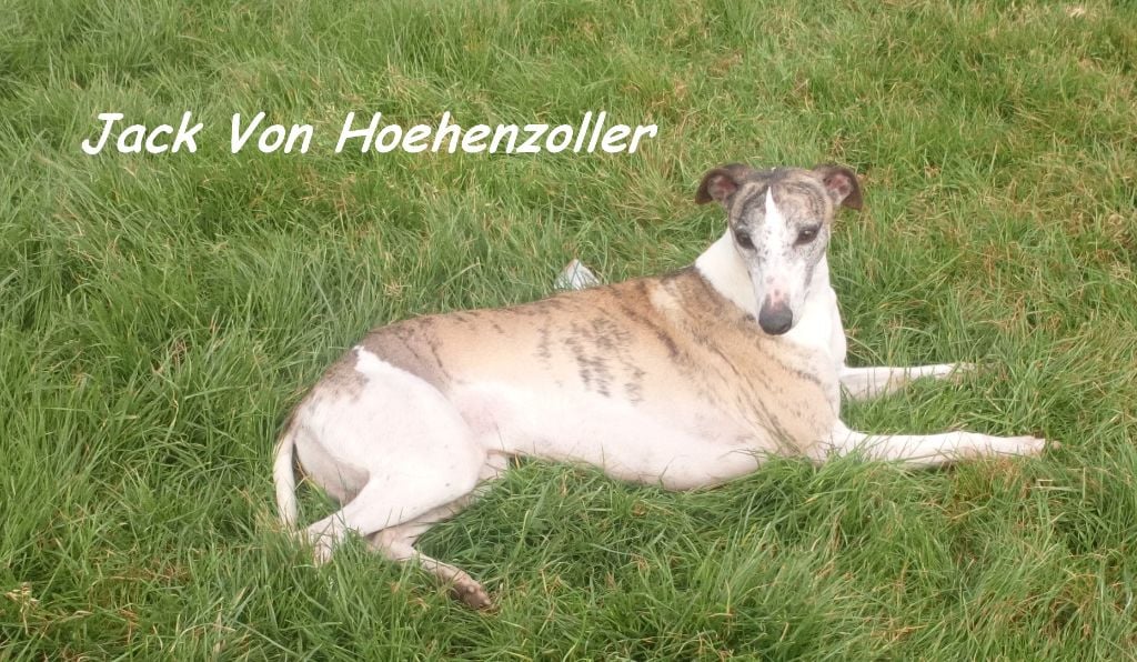 Jack von Hoëhenzoller