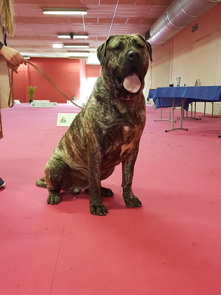 Publication : (Sans Affixe) Auteur : moi meme 