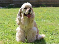 Publication : rainbow colors Auteur : Rainbow Colors