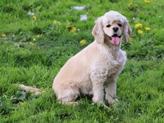 Publication : rainbow colors 